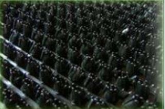 Коврик травка 60х90 черный