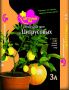 "Цветочный рай" для Цитрусовых 3л.(6 пакетов)
