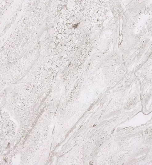 Клеенка на нетк.основе "Mirror" DL-010A Травертин (1,40х20м)